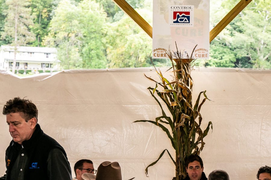 People dining under pavilion with sponsor banner