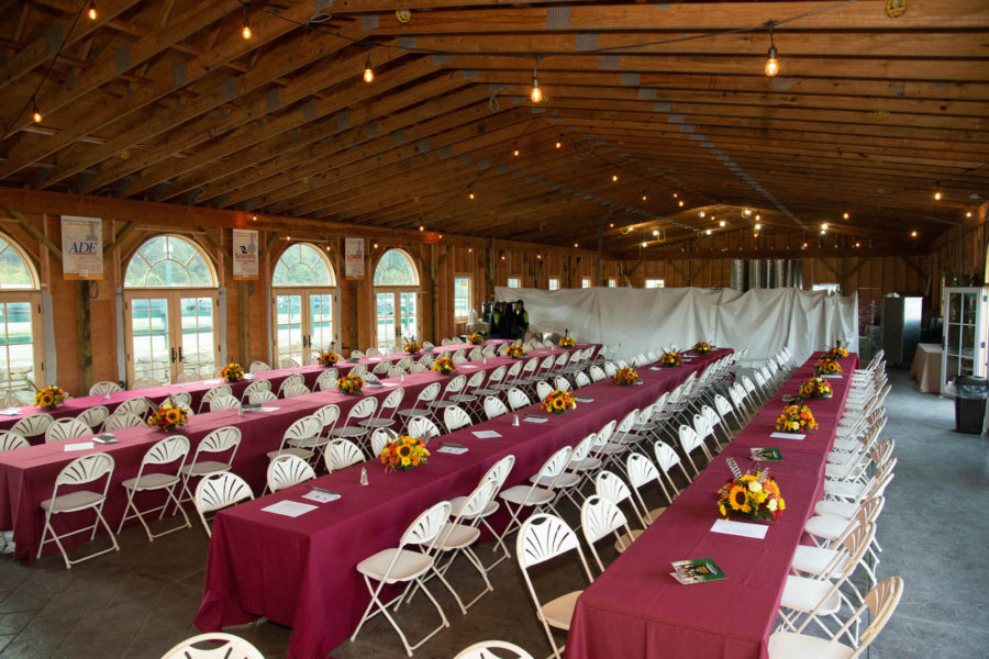 Banquet hall with sunflower centerpieces and lights